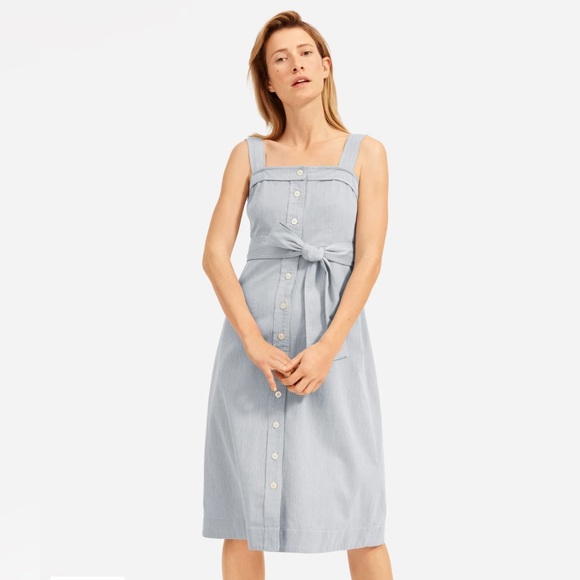 Everlane Dresses & Skirts - Everlane Picnic Dress 4 in pinstripe
